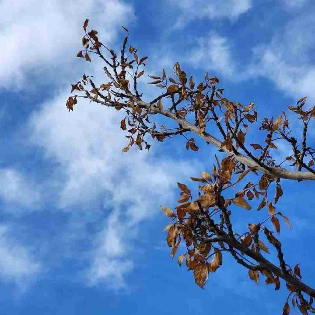 دانلود آهنگ تو شدی خلاصه تو سه تا حرف من ماه تو میشم تو ستاره ام