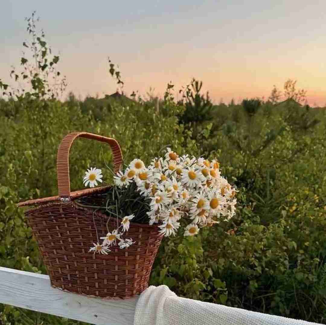 دانلود آهنگ خودم آی ام بلک برد بیکاز نیمدی و هارتم ترک خورد