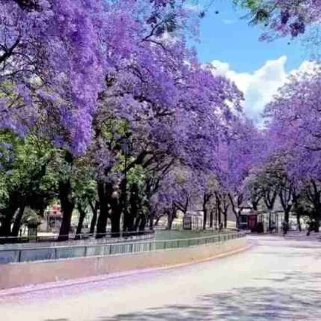 دانلود آهنگ بذار بده بره کی به کیه بیخودی میدی به کی تکیه (ترند اینستایی)