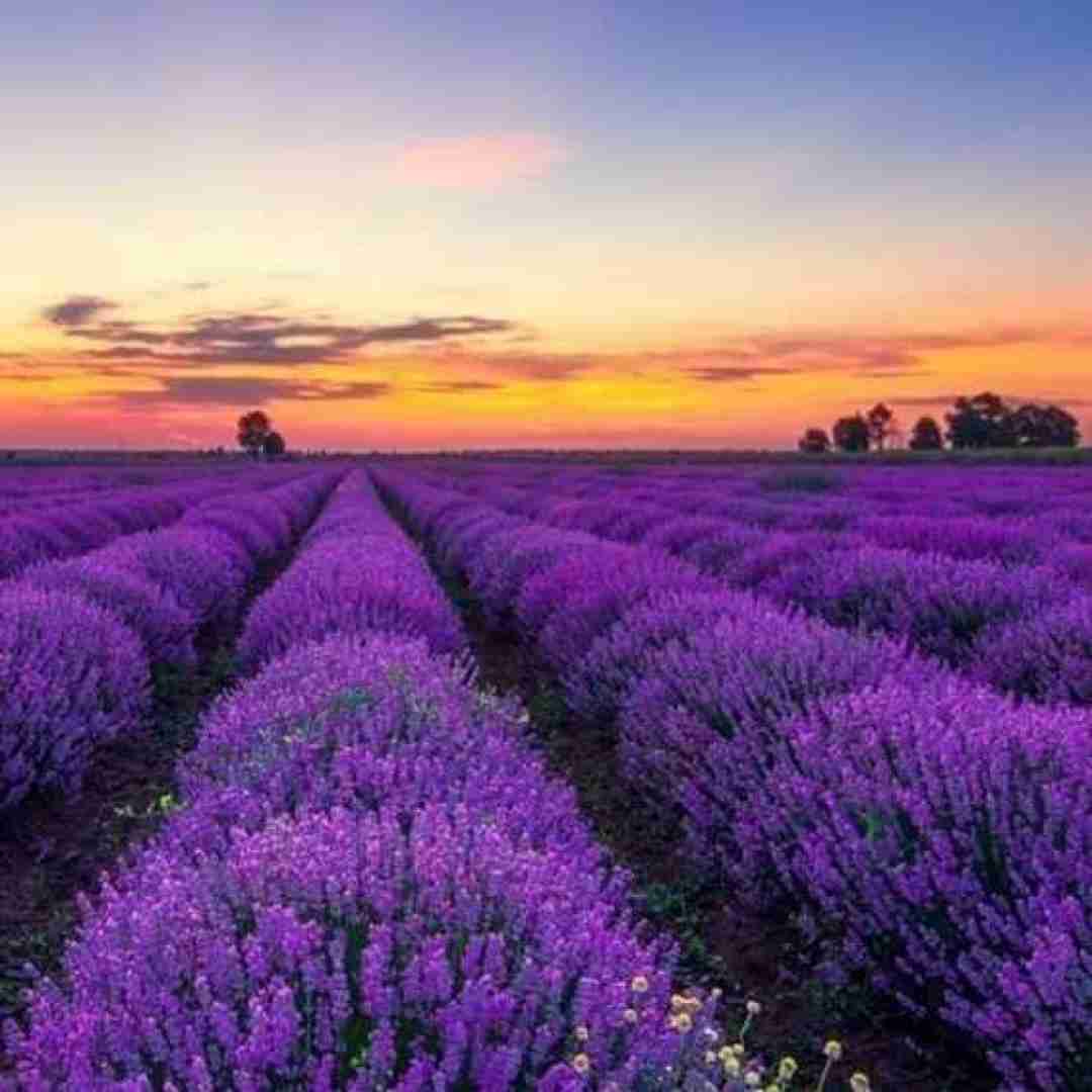 دانلود آهنگ یار فاطمه عطایی