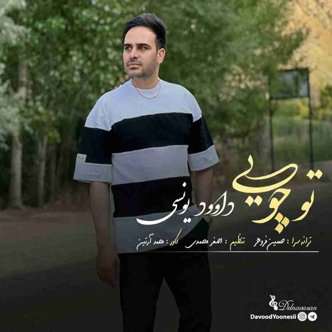 دانلود آهنگ تو چویی داوود یونسی