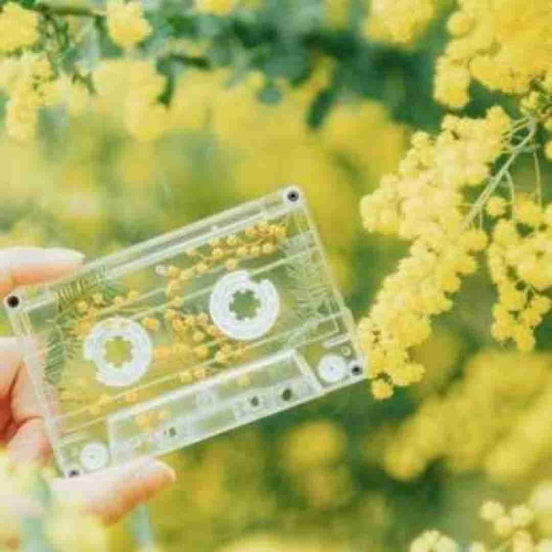 دانلود آهنگ به گمونم دل تو جای دیگست با صدای زن