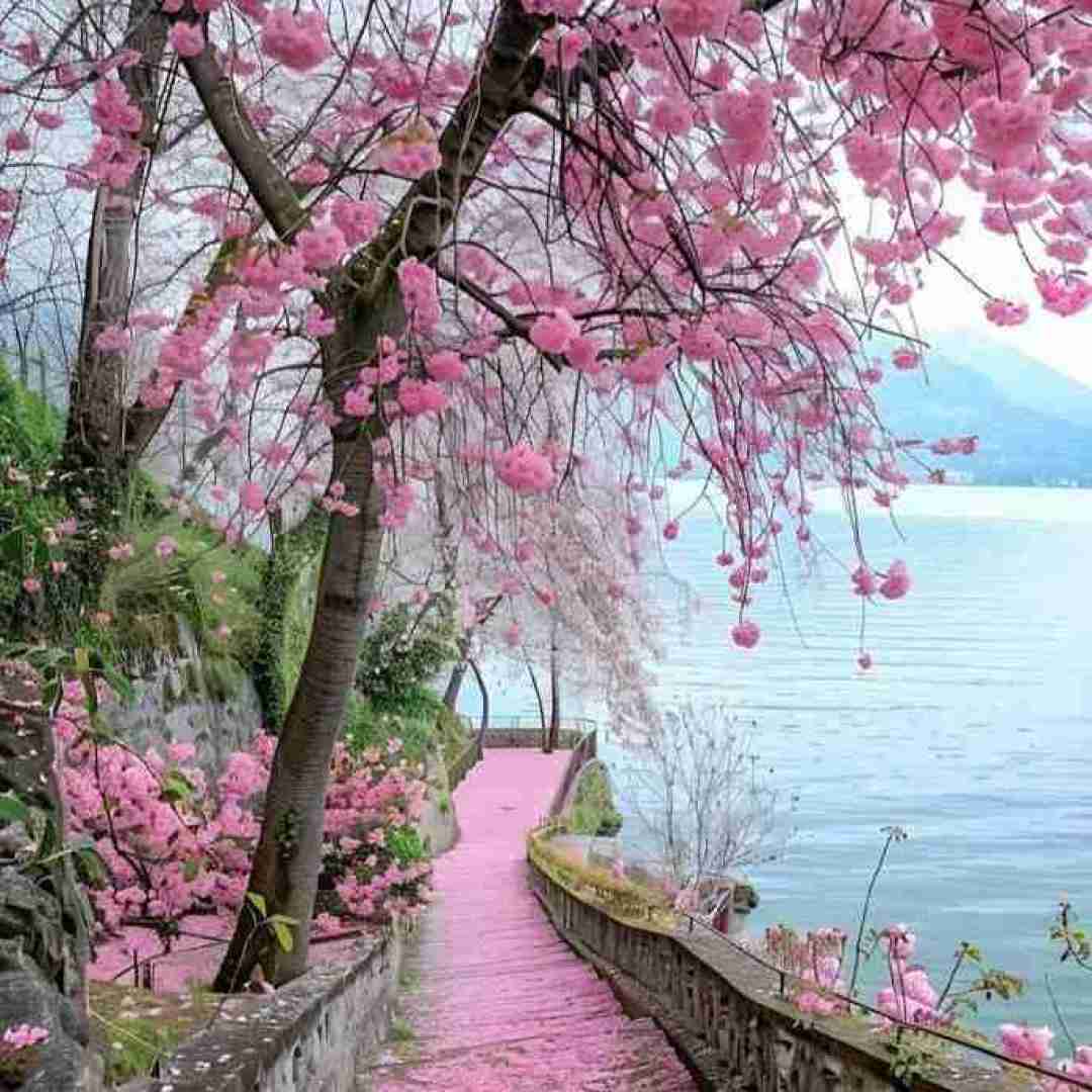 دانلود آهنگ کجایی فرهادی نشسته کنج دیوار پیر شدیمانه تنهام لای کلی آدم