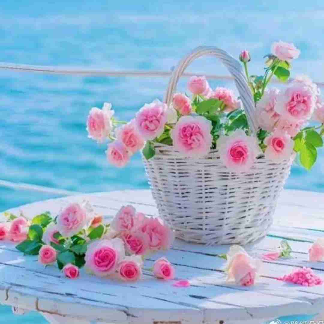 دانلود آهنگ عشقم این روزا هوای تو هوامو بد کرده با صدای دختر 