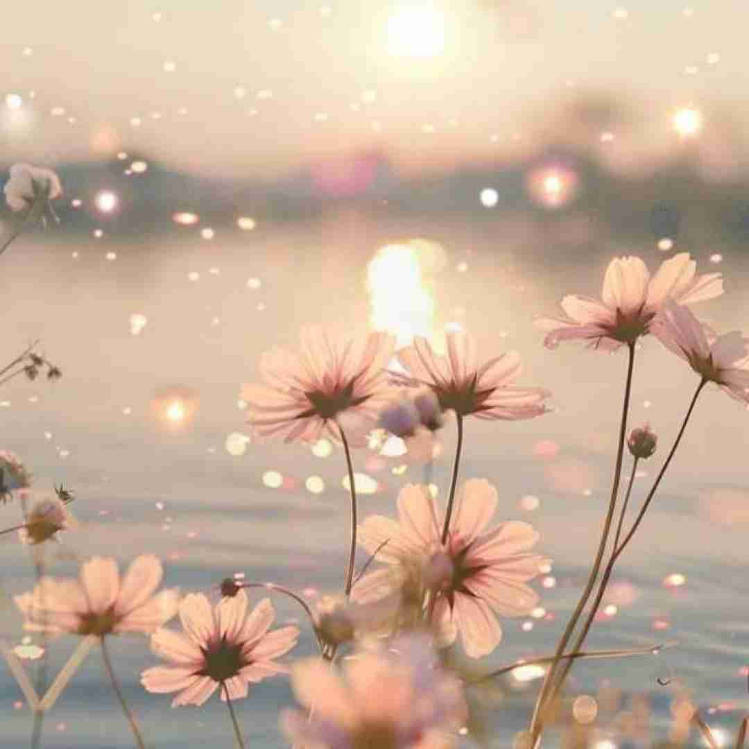 دانلود آهنگ همو یادمون رفته خیلی وقته آسمون بدون بیبیم ابره