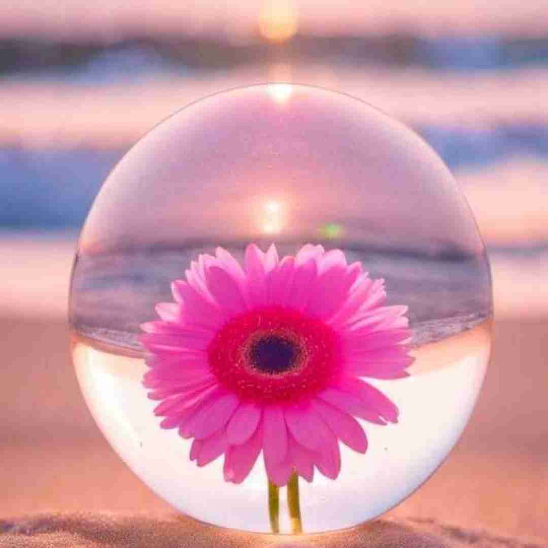 دانلود آهنگ بی احساس من تو رو دوست دارم به حال کی میخندی (هوش مصنوعی)
