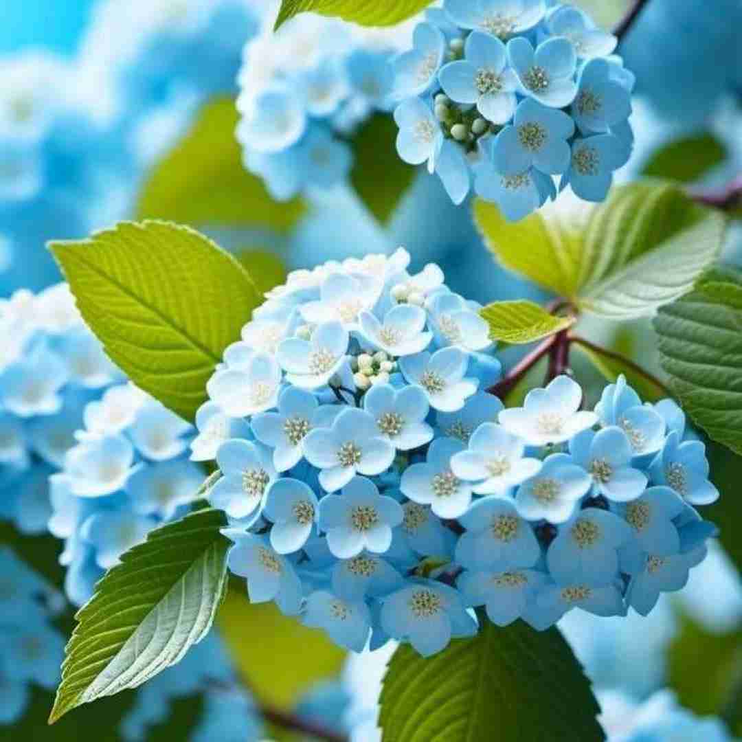 دانلود آهنگ تنها بودن فیریکه رفیق شیشت پیچیده