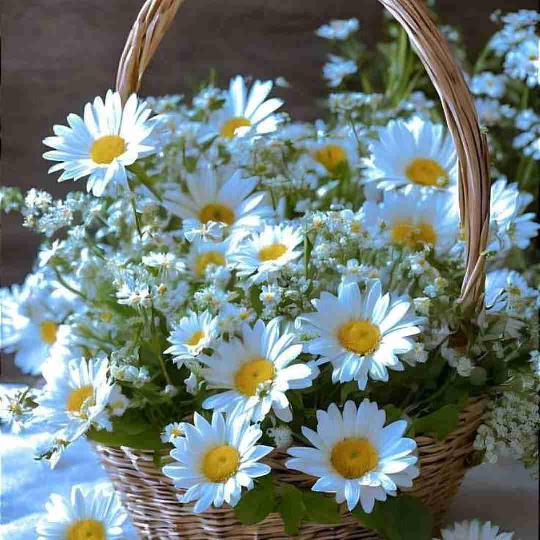 دانلود آهنگ گیر کردم تو تنهایی فقط اون میتونه درم بیاره