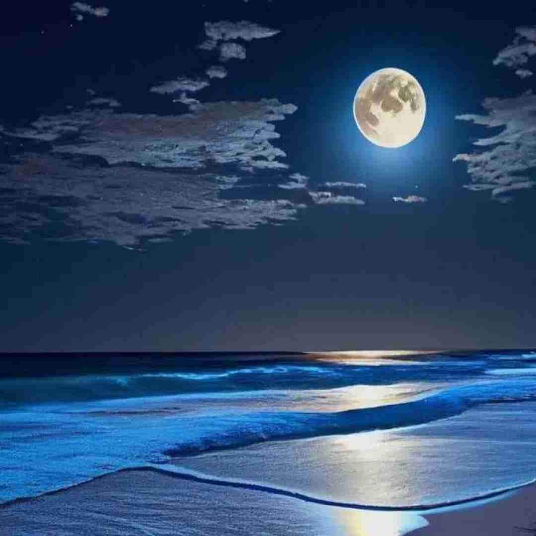 دانلود آهنگ آهای من آیفون دارم آیفون ۱۳ دارم اینستایی