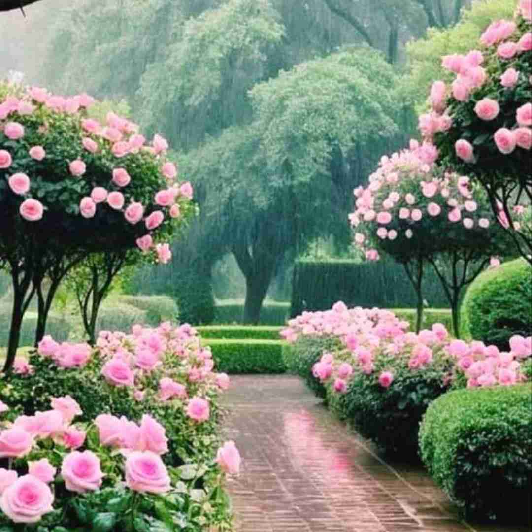 دانلود آهنگ خوشگل ترین دختری که دیدم بحث تو با همه (ترند اینستایی)