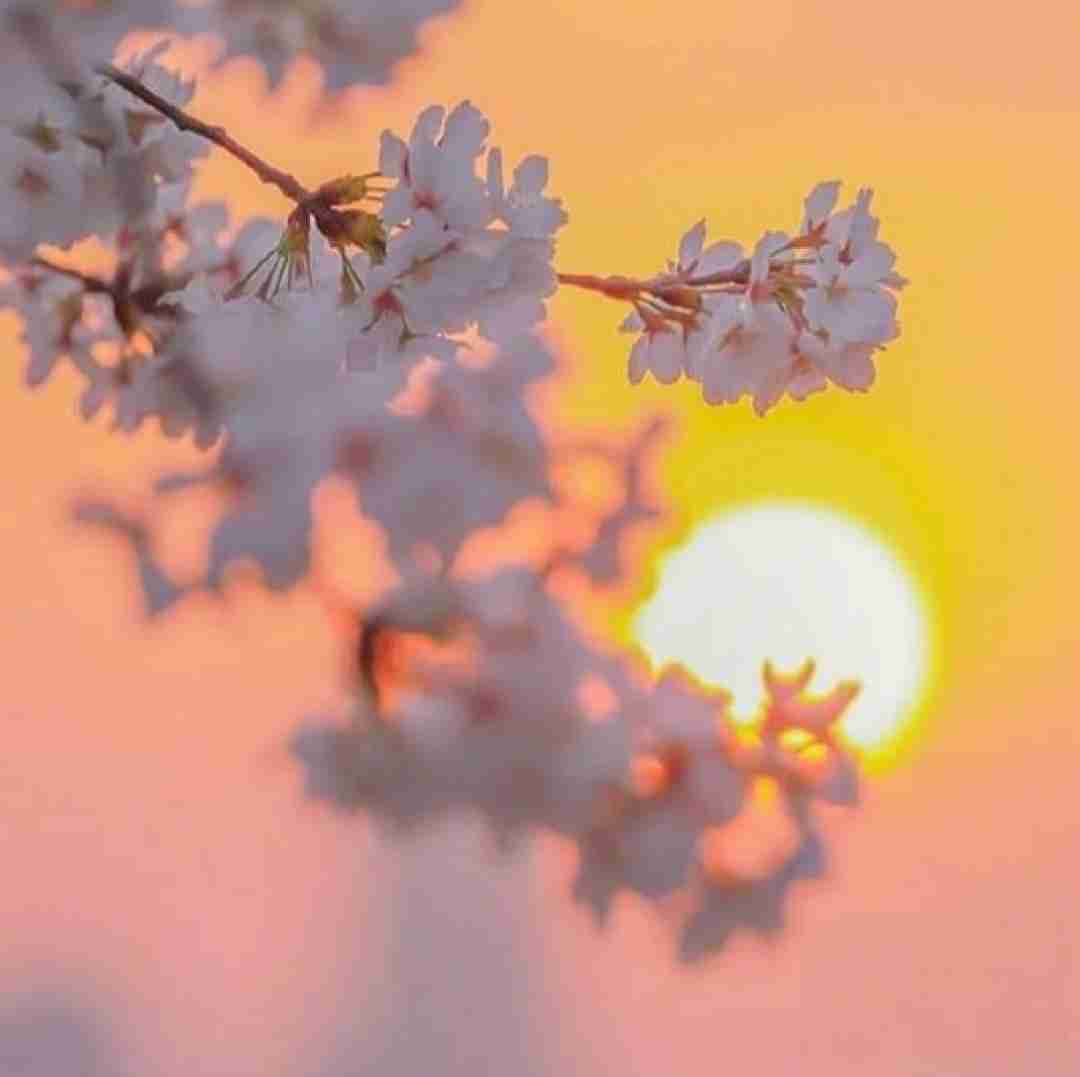 دانلود آهنگ باید اعتراف کنم واقعا حالم بده با صدای دختر