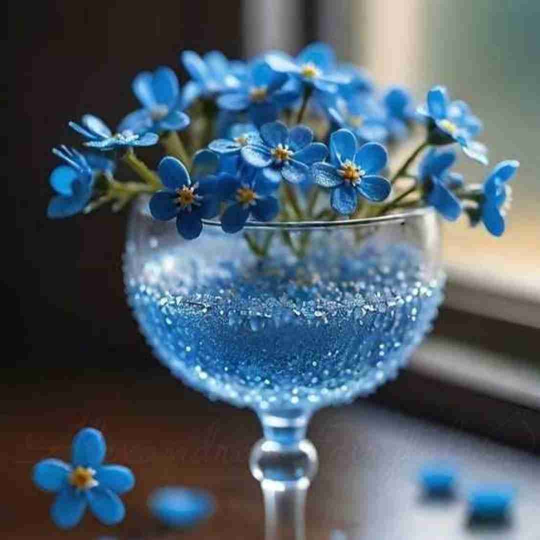 دانلود آهنگ بیشداگیدر بیدر بیدر دست دراز بیدر بیدر