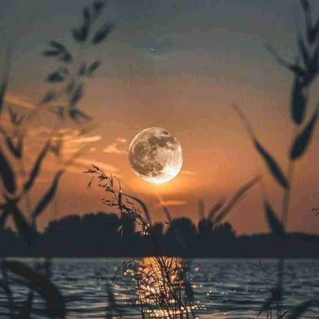 دانلود آهنگ ولی پر شده از موی سفید سرم قد ده سال از همه پیرترم