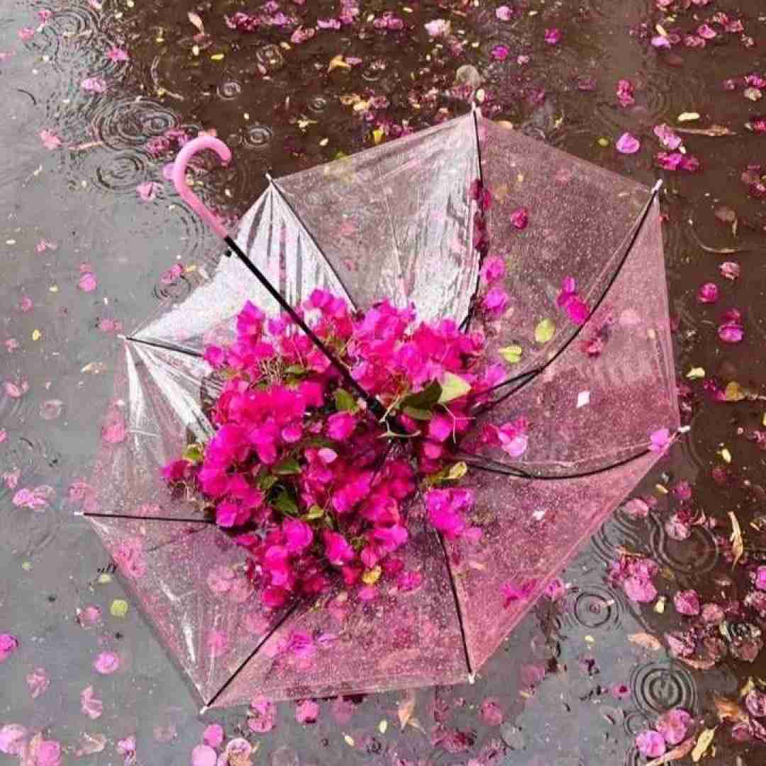 دانلود آهنگ بگذر ز من ای آشنا چون از تو من با صدای دختر اینستایی