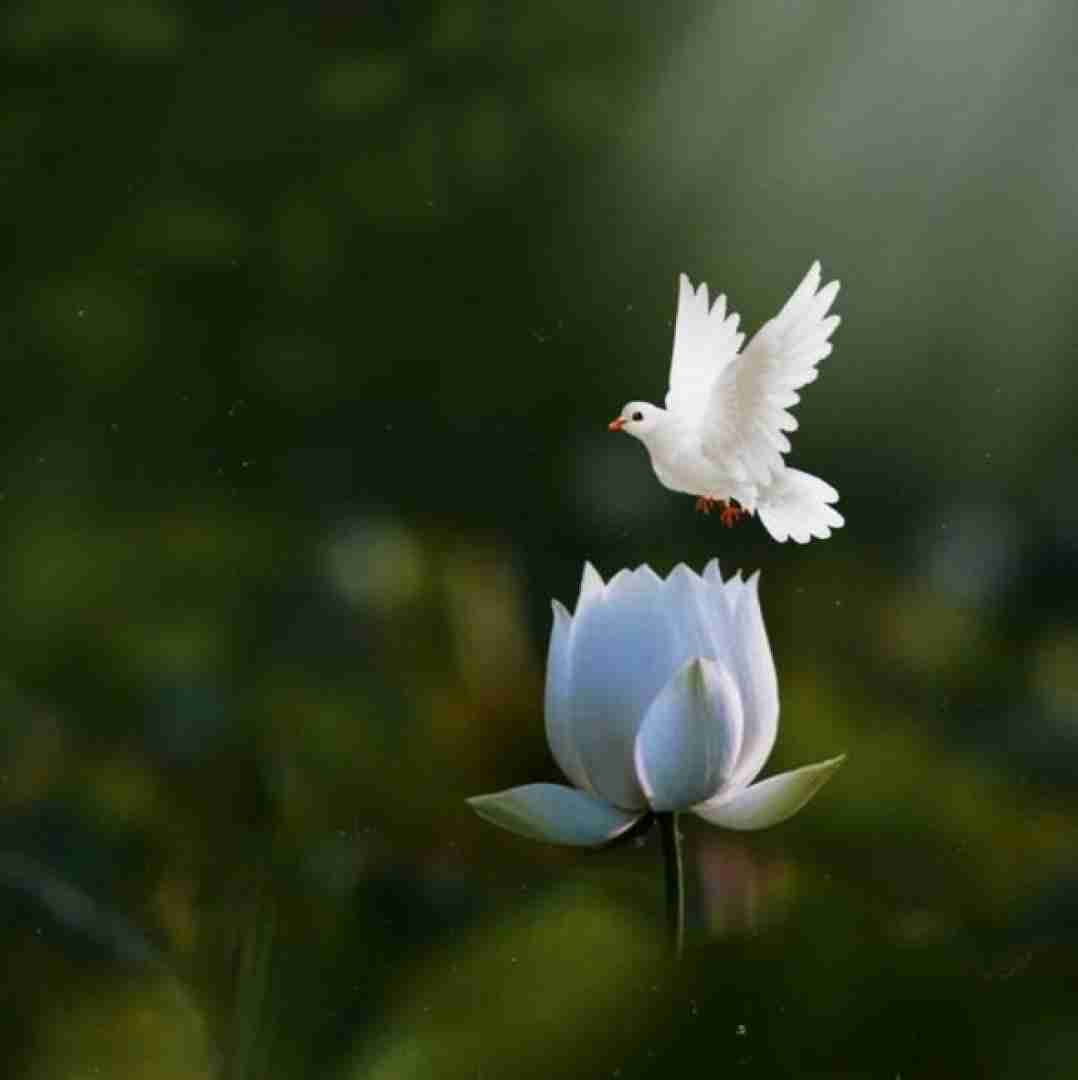 دانلود آهنگ روی دیوار دل نوشتم لیلا تب دارم با صدای دختر اینستایی
