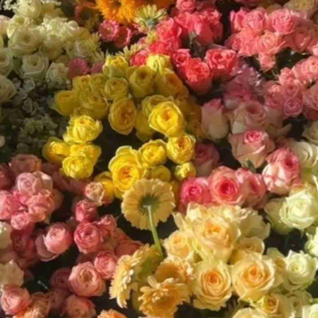 دانلود آهنگ وای وای دختر زاهدانی با صدای بچه