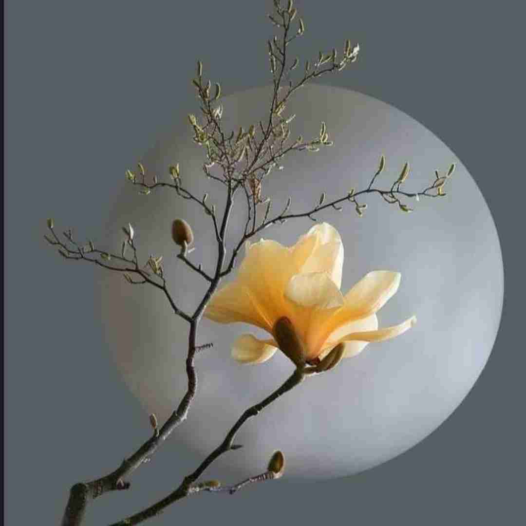 دانلود آهنگ چقد امشب خرابم نمیتونم بخوابم با صدای پسر