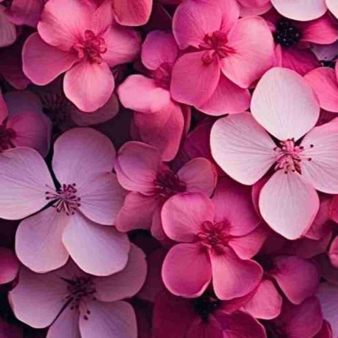دانلود آهنگ اوج میگرفتم به سمت تو لا دره ها