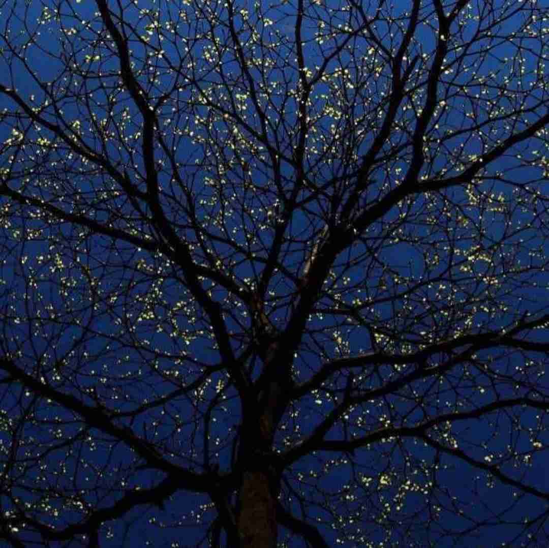 دانلود آهنگ سر جنگ داری بام هر سری هی میخواد این دنیا