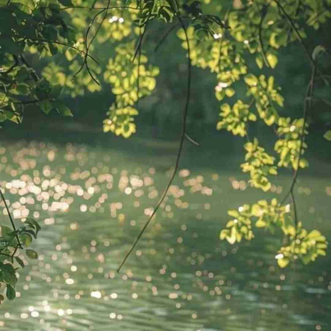 دانلود آهنگ کی میدونه تو سکوتم با خودم چیکار کردم هوش مصنوعی