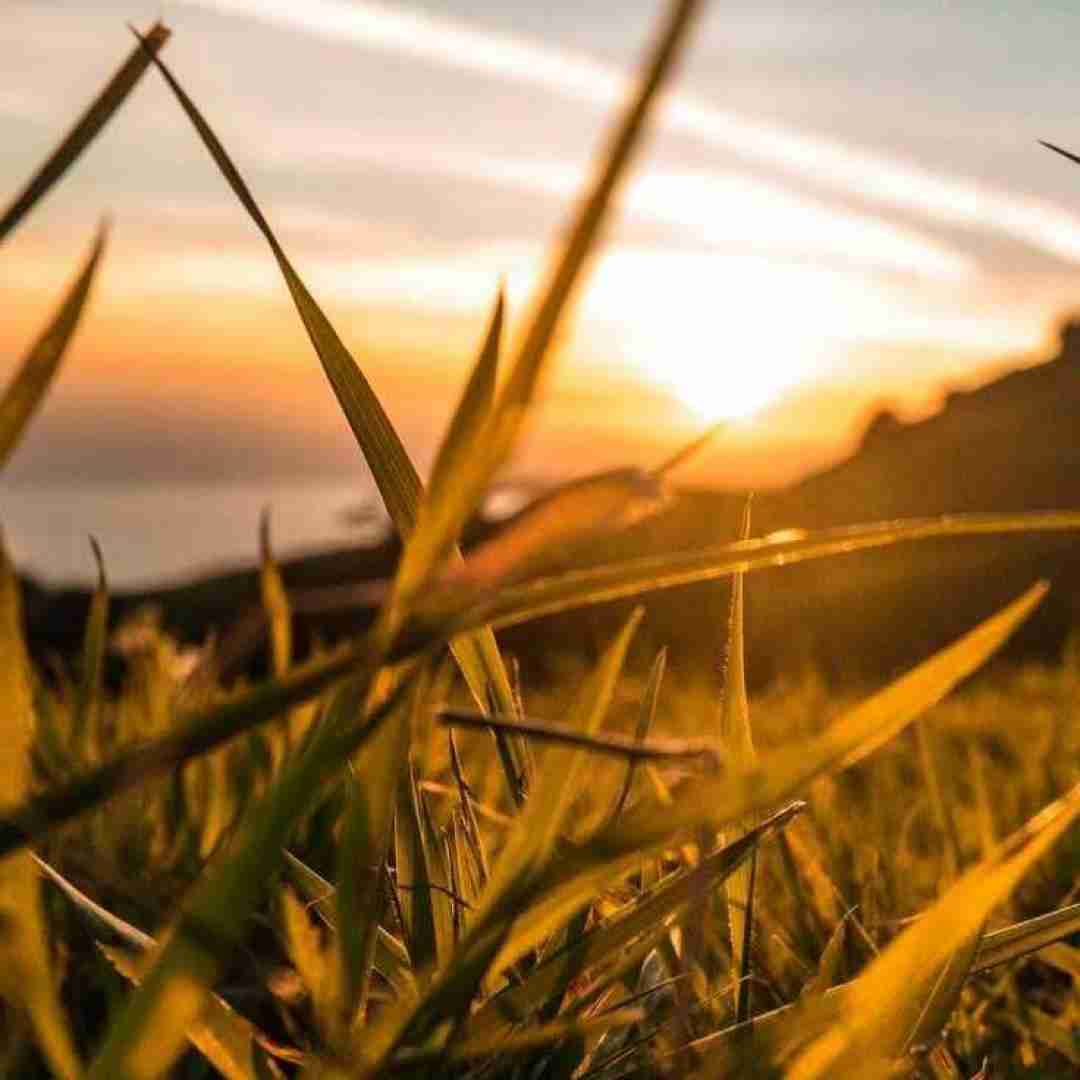 دانلود آهنگ کهنه یار اسی بیت