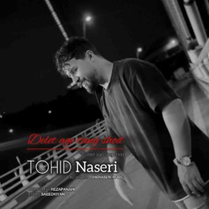 دانلود آهنگ توحید ناصری به نام دلت اگه تنگ شد