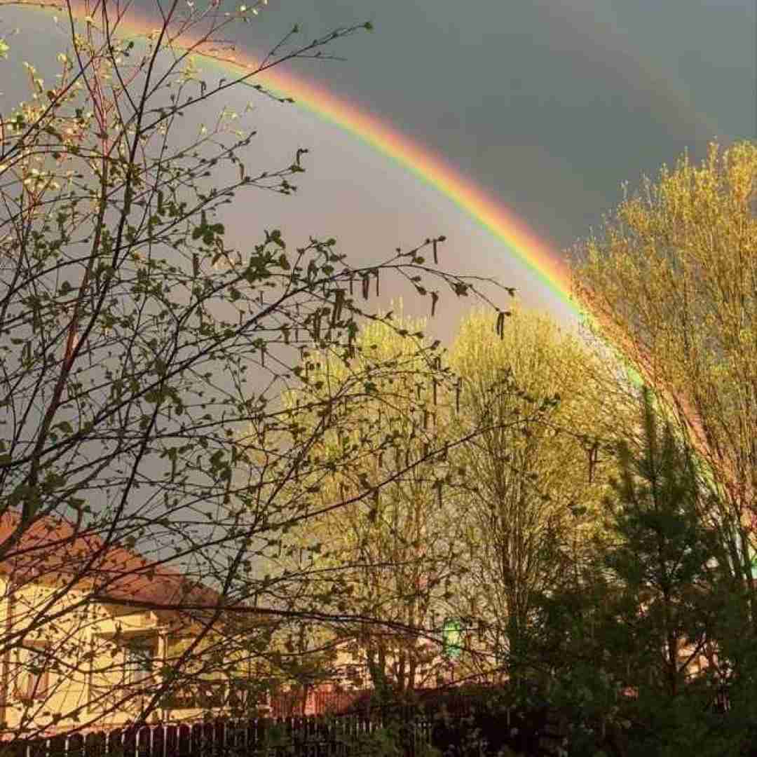 دانلود آهنگ خبر رسیده بعد من با چند نفر بودی حق داری