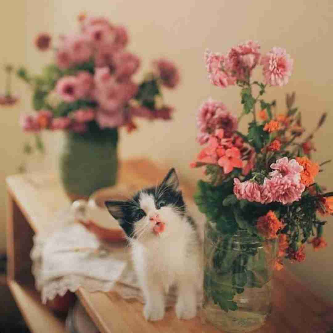 دانلود آهنگ سلام منو برسون مث یه دعا بهش 