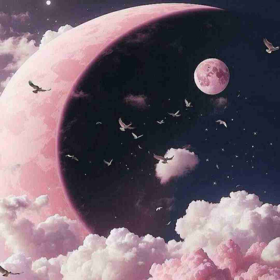دانلود آهنگ امشب خونمون بله برونه امشب خونمون