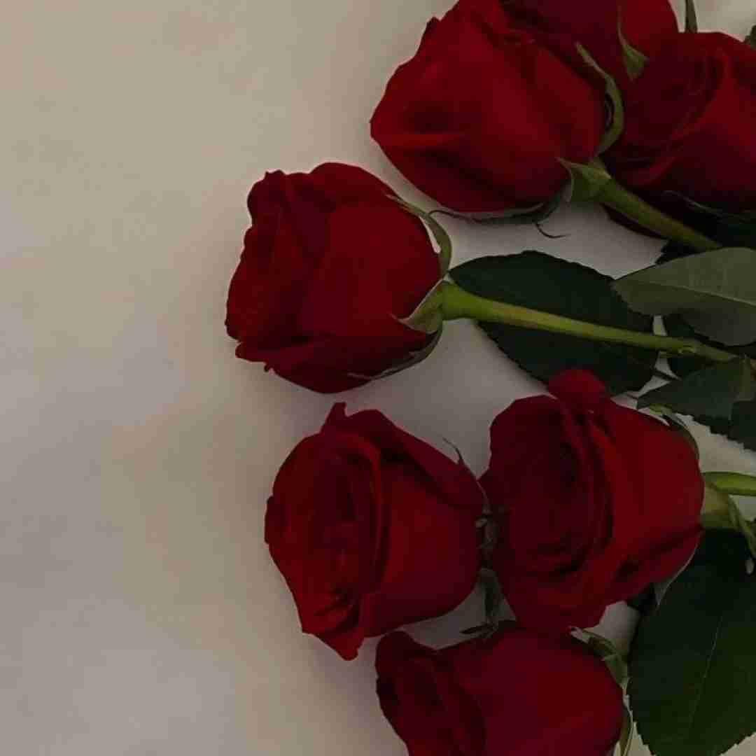 دانلود آهنگ حالا گوش کن اکس قشنگم حس قشنگم دشی