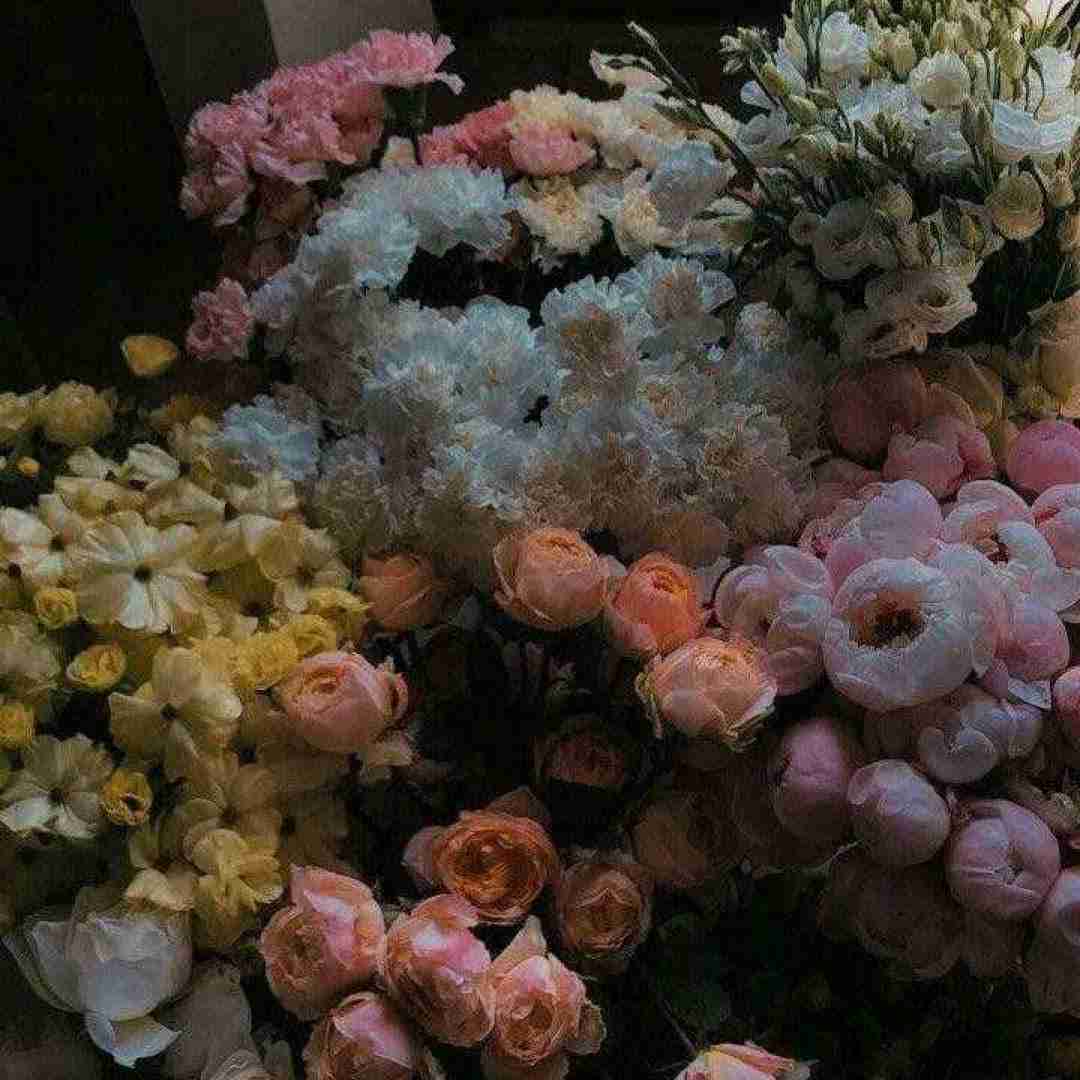 دانلود آهنگ اومدم تو حرم چشمای نازت نذرمو ادا کنم