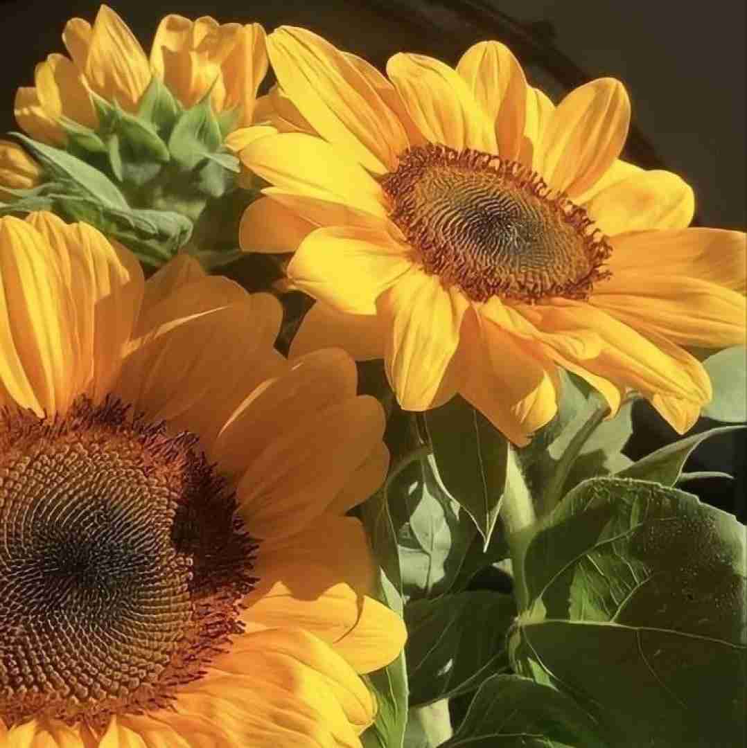 دانلود آهنگ نمی‌خوام یارم بشی همه کس و کارم بشی با صدای پسر 