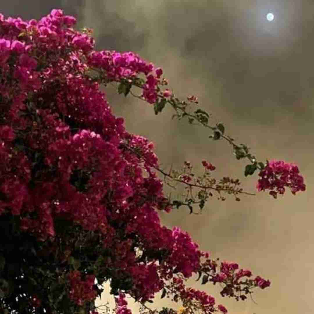 دانلود آهنگ آخر این جاده بوده یه بن بست من که رو حرفات