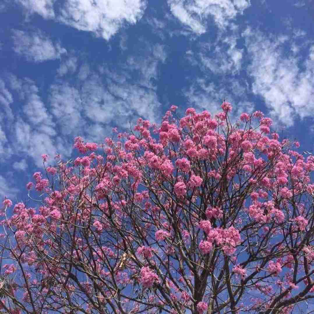 دانلود آهنگ خبر رسیده بعد من با چند نفر بودی 