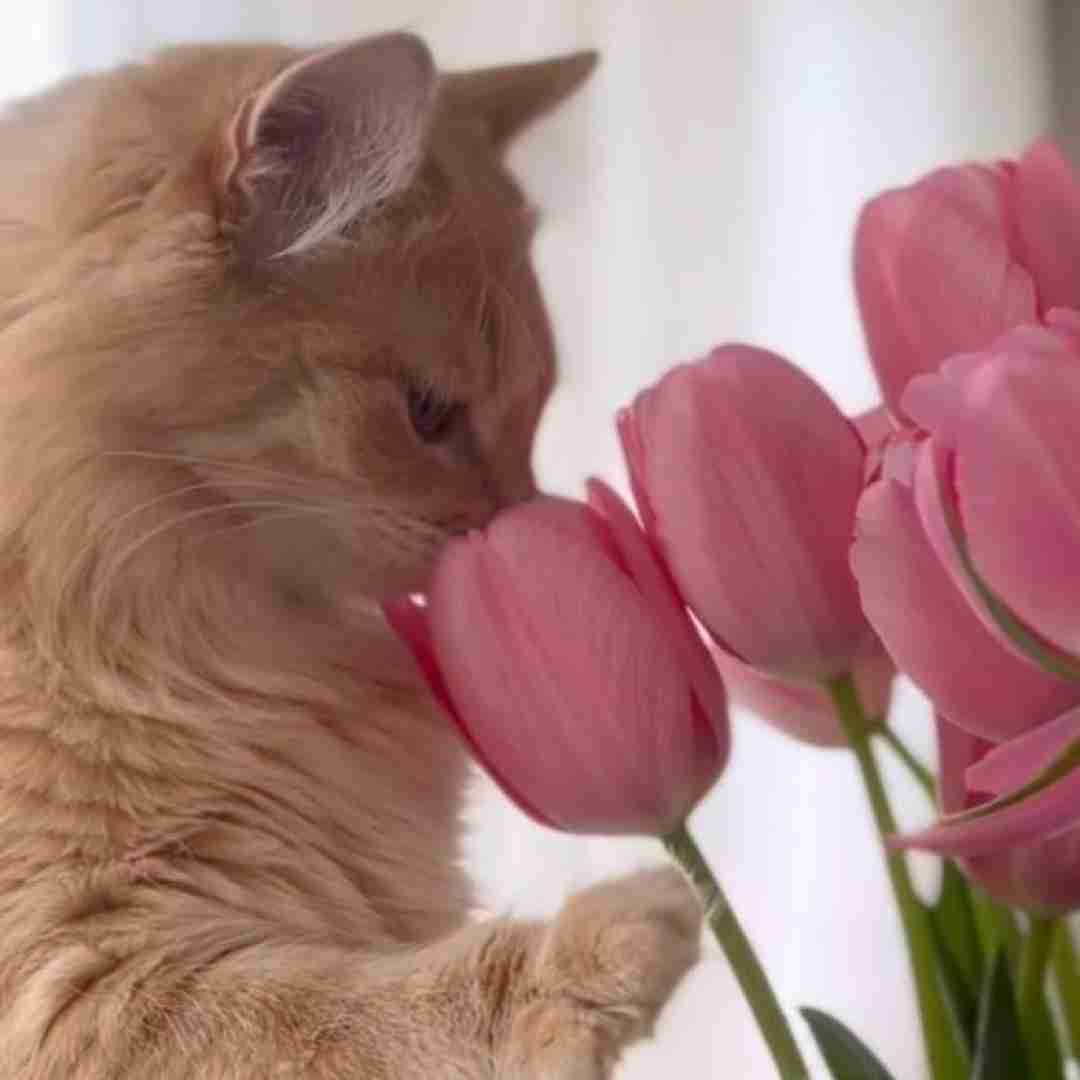 دانلود آهنگ میخوای برگردی ولی واقعا نیس راه 