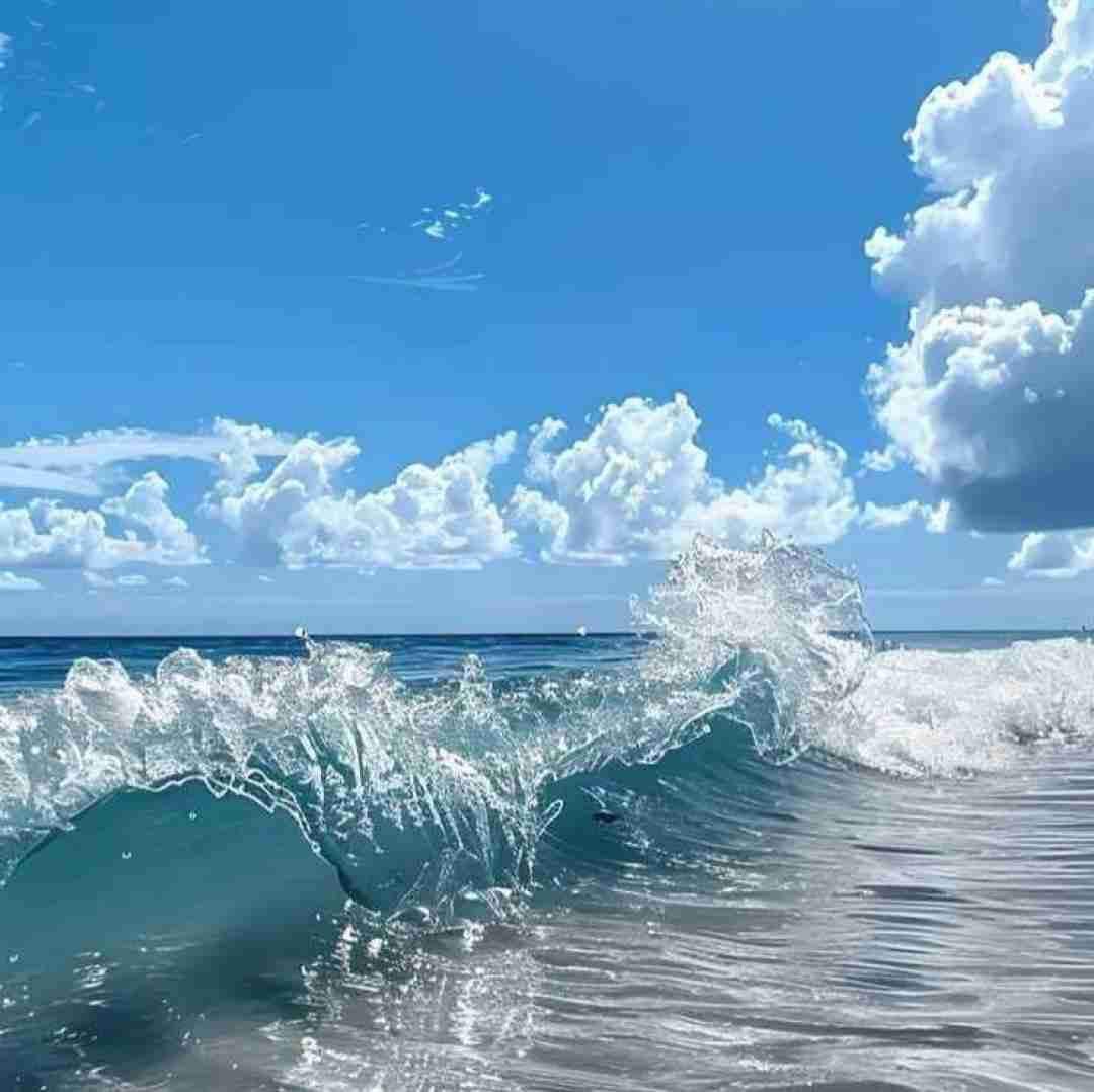 دانلود آهنگ مسخرس حاجی درس و مدرسه به دردم نخورد 