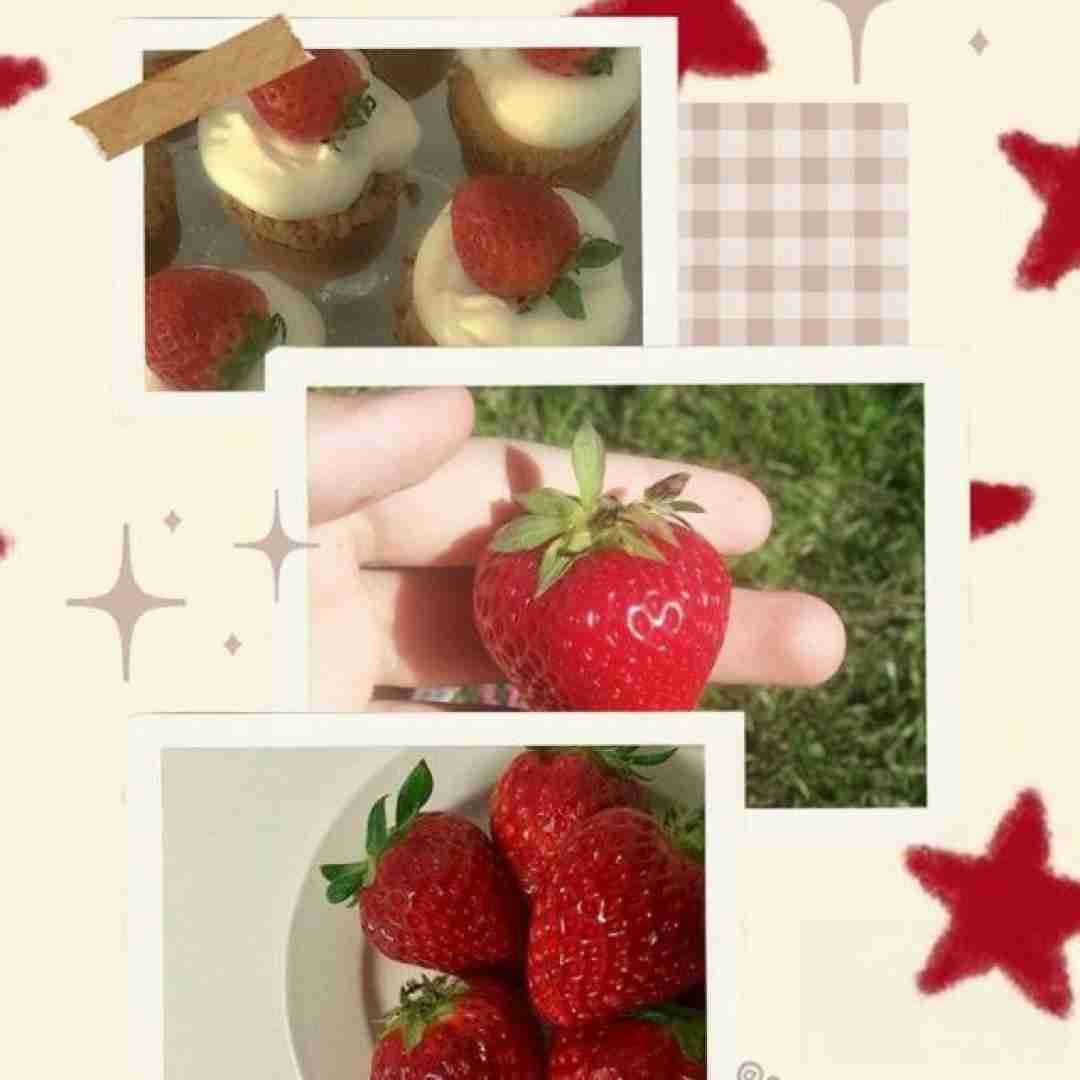 دانلود آهنگ ریشه ی خشک دلم سبز شده با اشک دشی