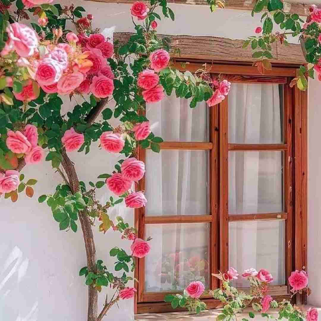 دانلود آهنگ اون روزا دشی