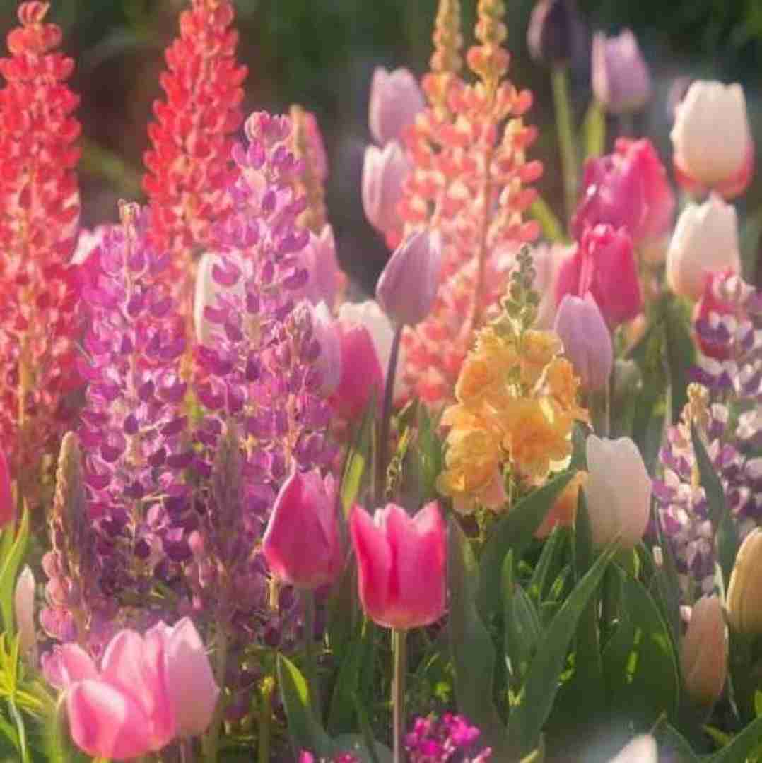 دانلود آهنگ دیر فهمیدم تو آستین ماره چشمام ندیدشون انگار