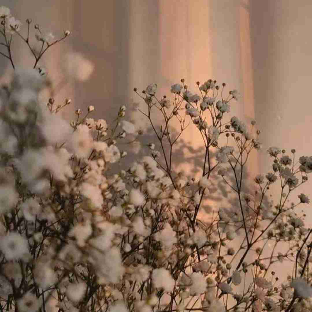 دانلود آهنگ لب ساحل اگه تو بمونی میمونیم با هم تا ته سامر