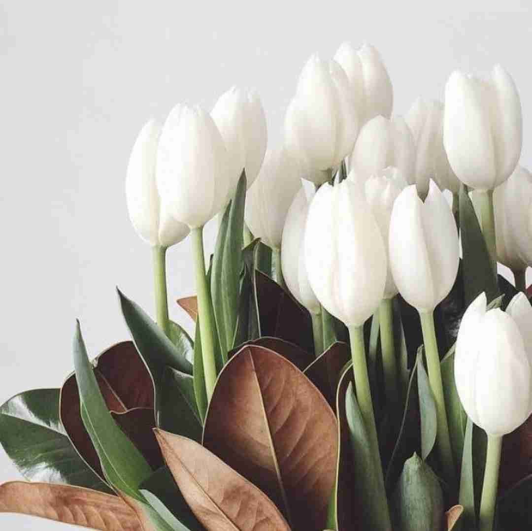 دانلود آهنگ خاطره هایی که ساختیم نه دیگه بر نمیگردن 