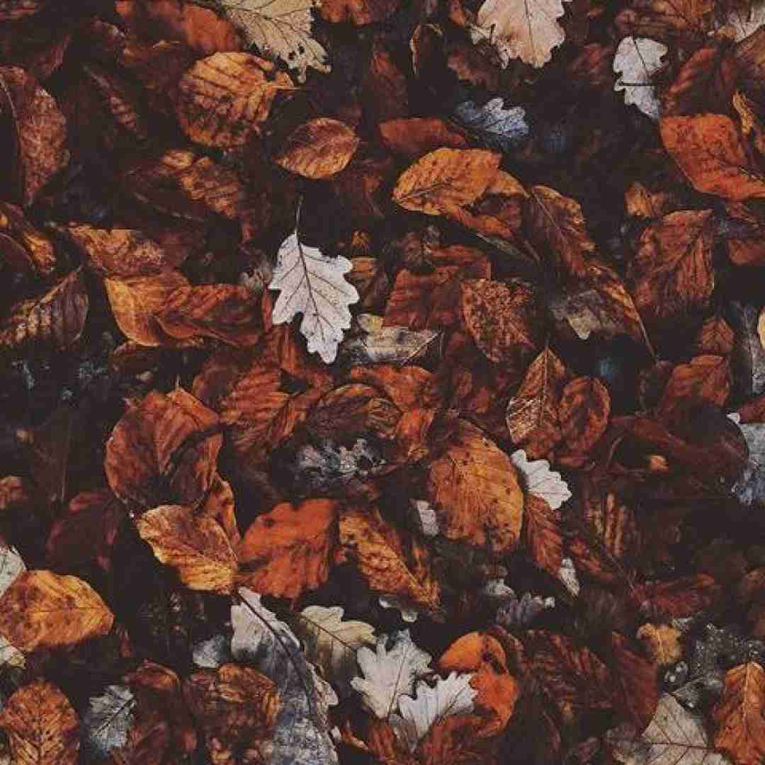 دانلود آهنگ گفتم بهم فرصت بده تو چشمات مثل مخدره 