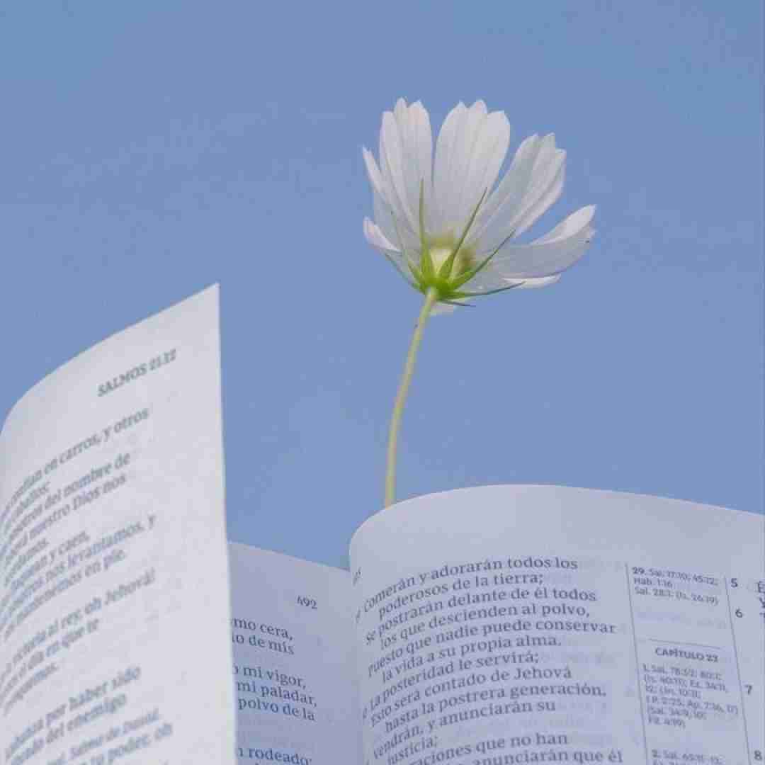 دانلود آهنگ ای ابر بهارم ببار روی سرم هوش مصنوعی 