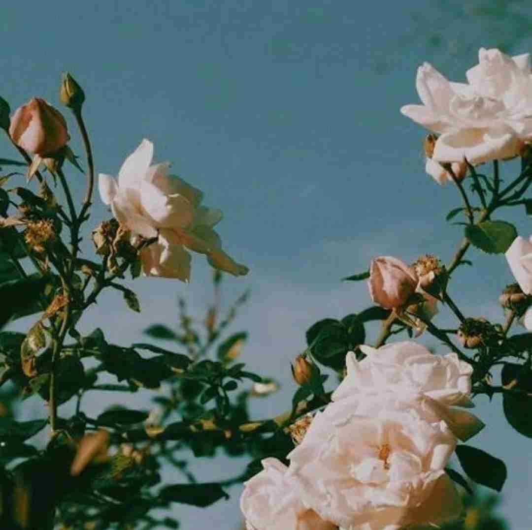 دانلود آهنگ هرچی میخوام چشام بحث نکنم نمیتونم با صدای دختر 