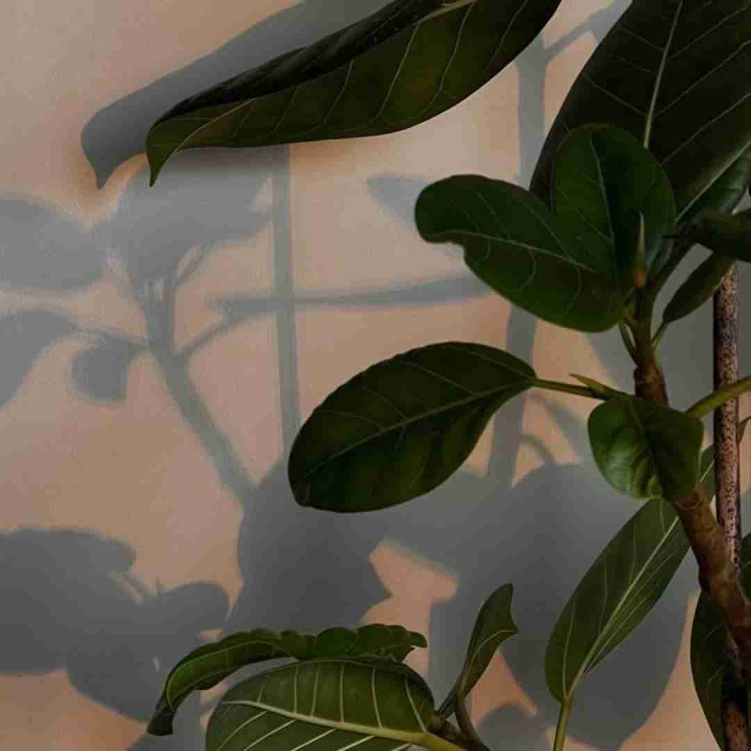 دانلود آهنگ آروم آروم اومدی به دلم اجرای گیتار خوابگاه دانشجویی 