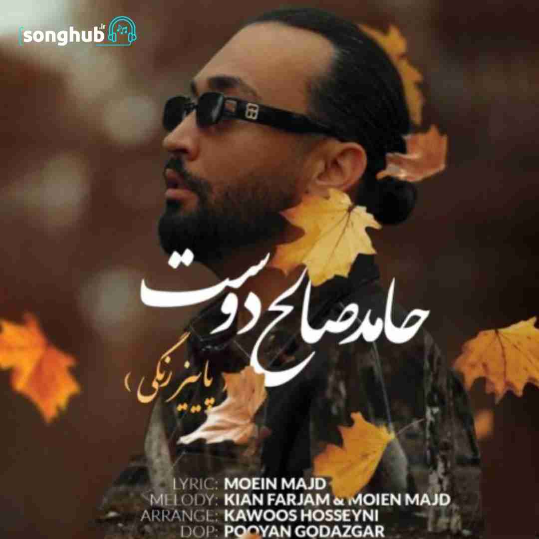 دانلود آهنگ پاییز رنگی حامد صالح دوست