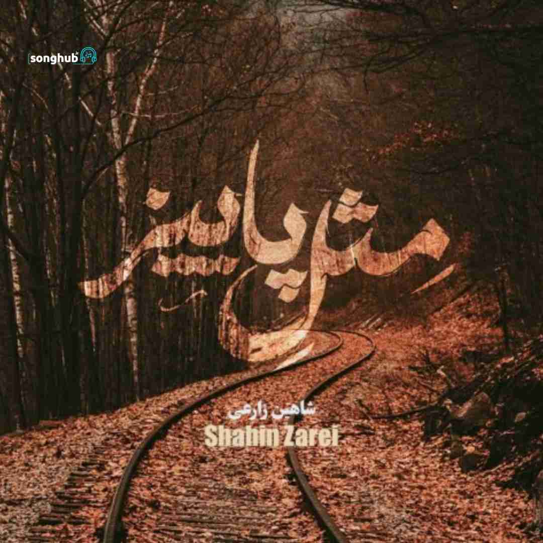 دانلود آهنگ مثل پاییز شاهین زارعی