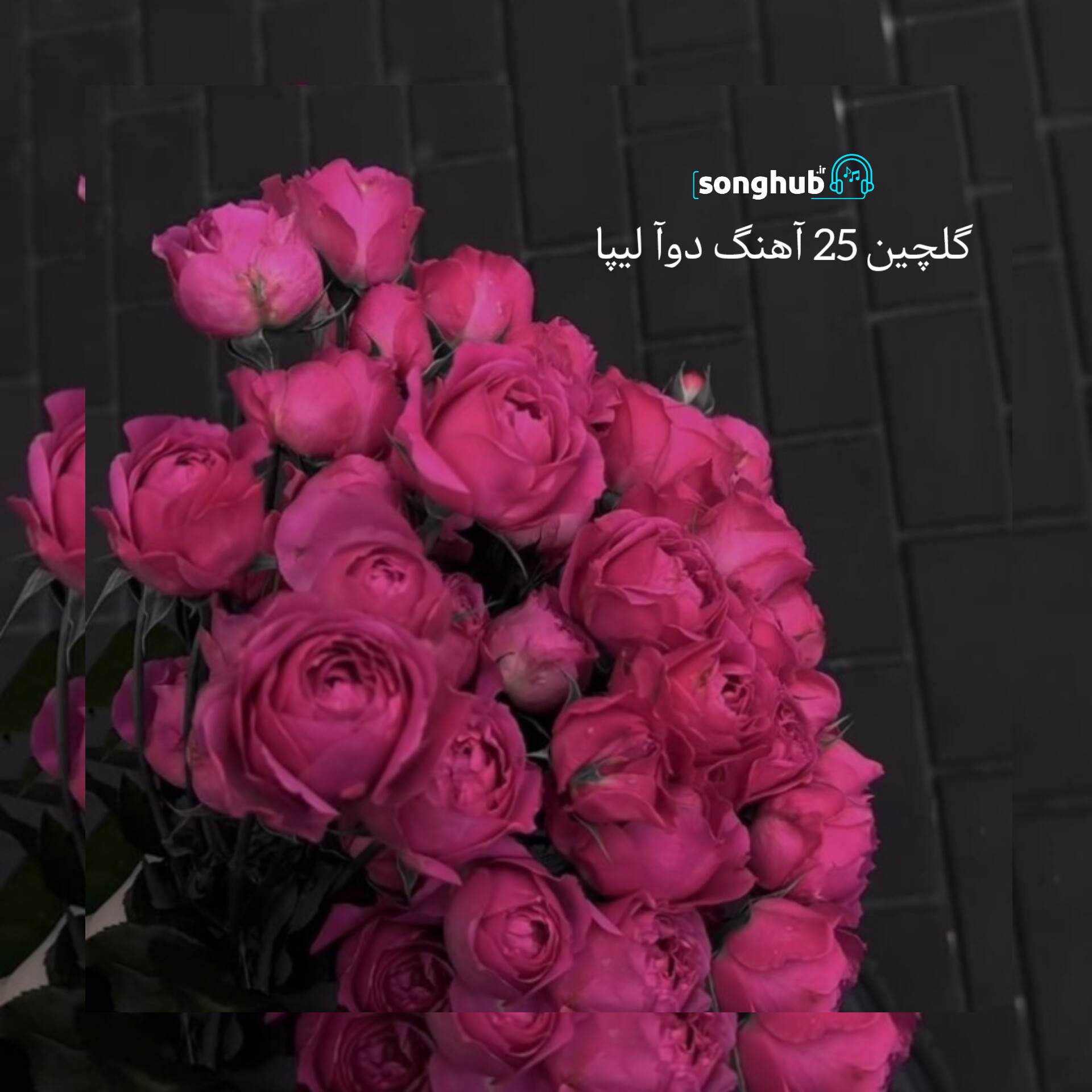 دانلود 25 آهنگ تاپ دوآ لیپا کیفیت بالا