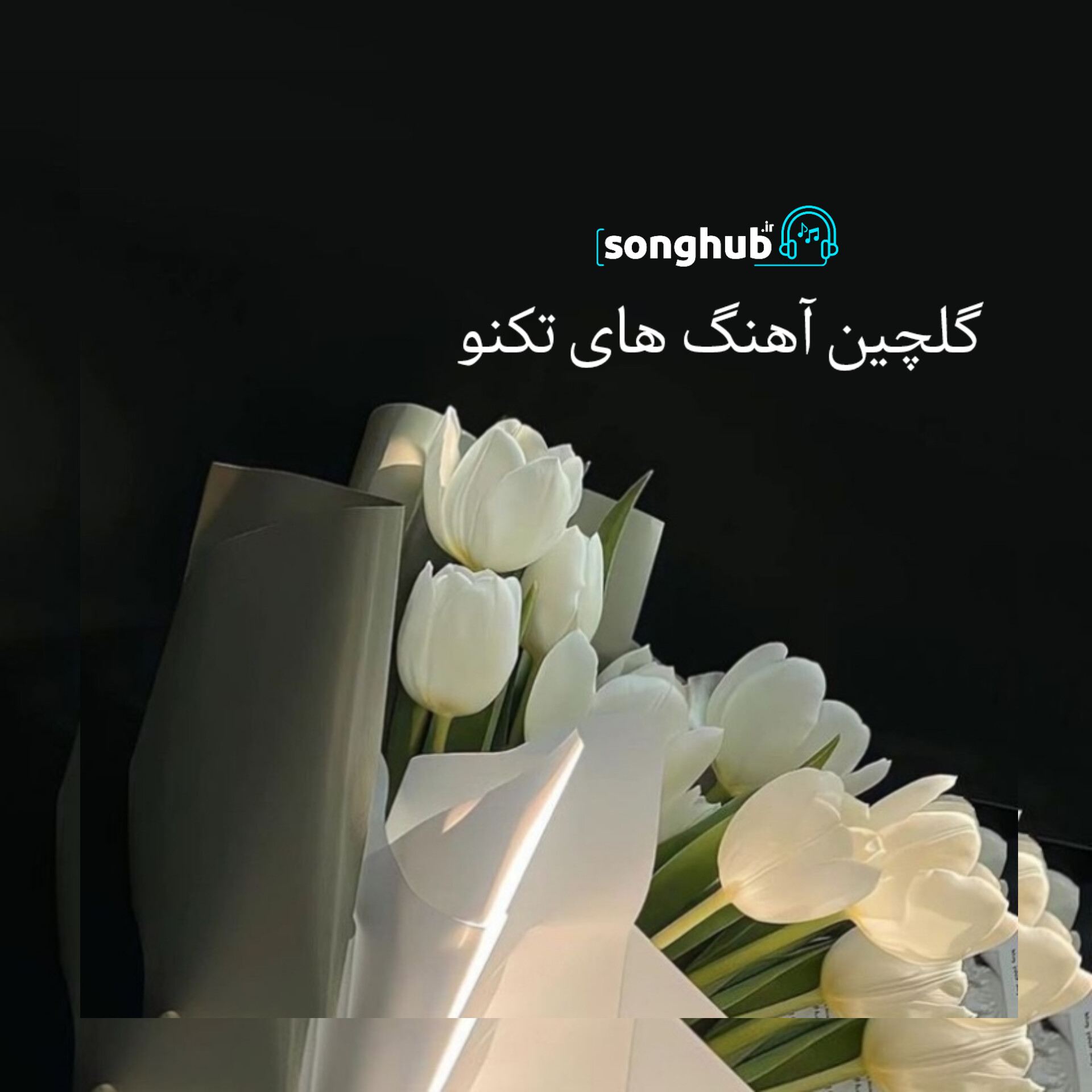 گلچین برترین آهنگ های تکنو دنیا