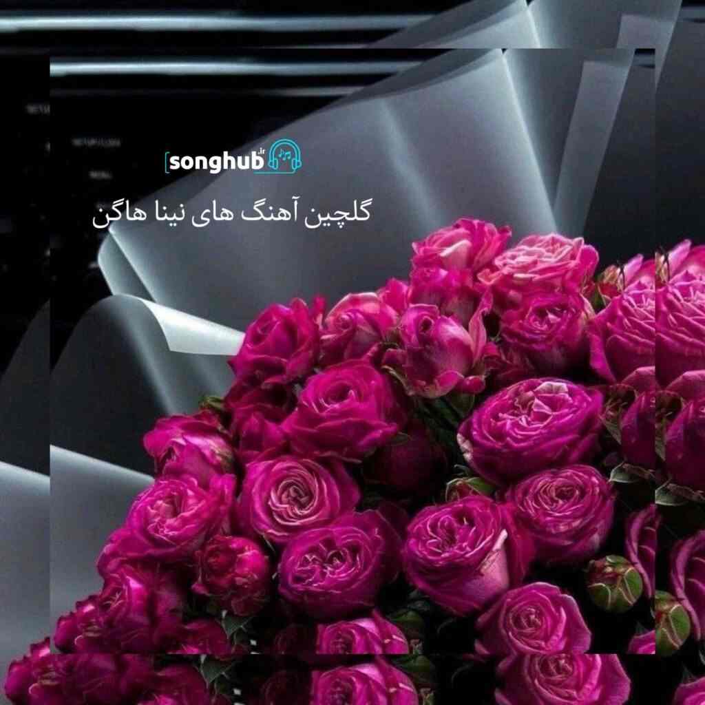 دانلود آهنگ های تاپ نینا هاگن + ریمیکس
